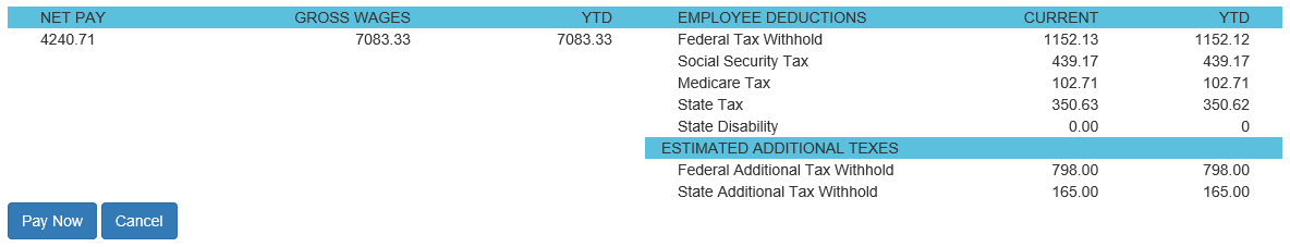 paystub